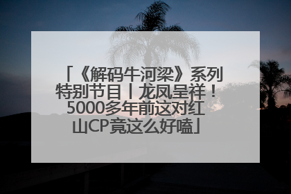 《解码牛河梁》系列特别节目丨龙凤呈祥！5000多年前这对红山CP竟这么好嗑
