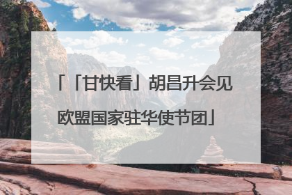 「甘快看」胡昌升会见欧盟国家驻华使节团