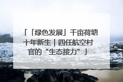 「绿色发展」千亩荷塘 十年新生｜四任航空村官的“生态接力”