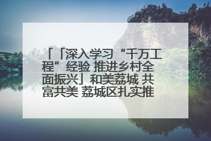 「深入学习“千万工程”经验 推进乡村全面振兴」和美荔城 共富共美 荔城区扎实推进乡村振兴工作