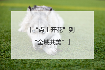 “点上开花”到“全域共美”
