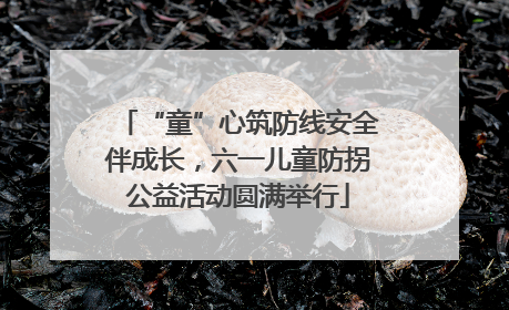 “童”心筑防线安全伴成长，六一儿童防拐公益活动圆满举行