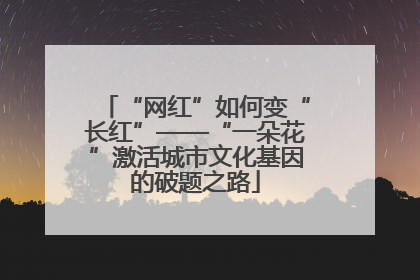 “网红”如何变“长红”——“一朵花”激活城市文化基因的破题之路