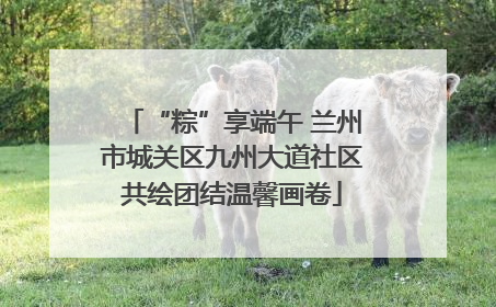 “粽”享端午 兰州市城关区九州大道社区共绘团结温馨画卷
