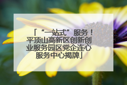 “一站式”服务！平顶山高新区创新创业服务园区党企连心服务中心揭牌