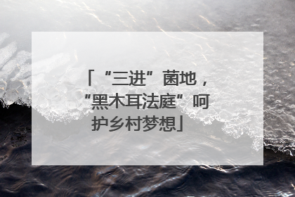 “三进”菌地，“黑木耳法庭”呵护乡村梦想
