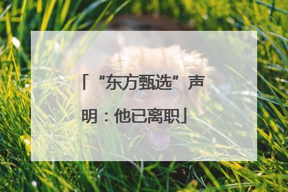 “东方甄选”声明：他已离职