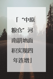 “中原粮仓”河南耕地面积实现四年连增