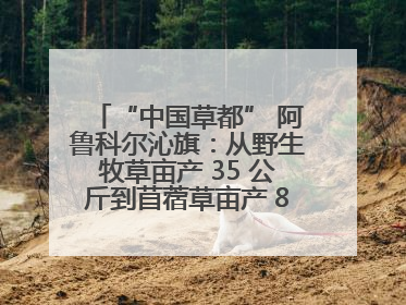 “中国草都” 阿鲁科尔沁旗：从野生牧草亩产 35 公斤到苜蓿草亩产 800 公斤以上
