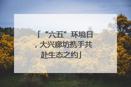 “六五”环境日，大兴廊坊携手共赴生态之约