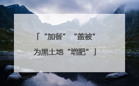 “加餐”“盖被” 为黑土地“增肥”