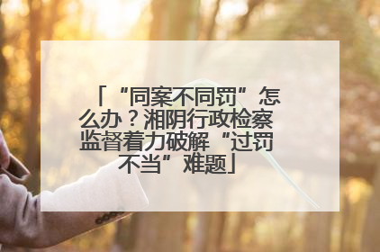 “同案不同罚”怎么办？湘阴行政检察监督着力破解“过罚不当”难题