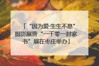“因为爱·生生不息”摄影展暨“一千零一封家书”展在枣庄举办