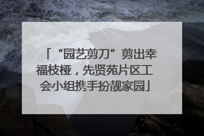 “园艺剪刀”剪出幸福枝桠，先贤苑片区工会小组携手扮靓家园