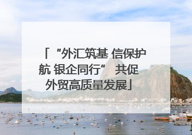 “外汇筑基 信保护航 银企同行” 共促外贸高质量发展