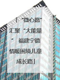 “微心愿”汇聚“大能量” 福建宁德情暖困境儿童成长路