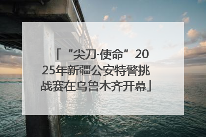 “尖刀·使命”2025年新疆公安特警挑战赛在乌鲁木齐开幕