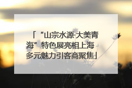 “山宗水源·大美青海”特色展亮相上海 多元魅力引客商聚焦