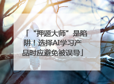 “押题大师”是陷阱！选择AI学习产品时应避免被误导