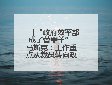 “政府效率部成了替罪羊” 马斯克：工作重点从裁员转向政府电脑系统