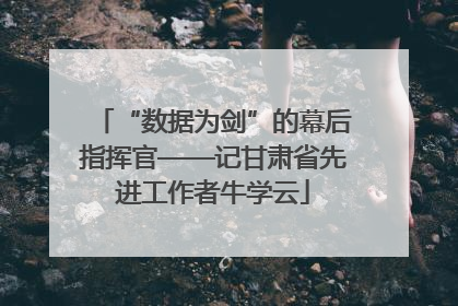 “数据为剑”的幕后指挥官——记甘肃省先进工作者牛学云