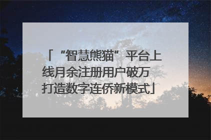 “智慧熊猫”平台上线月余注册用户破万 打造数字连侨新模式