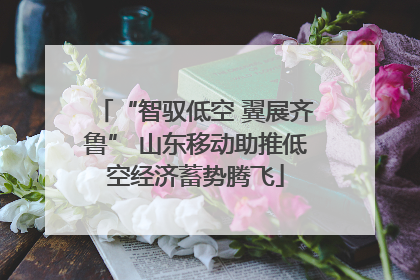 “智驭低空 翼展齐鲁” 山东移动助推低空经济蓄势腾飞