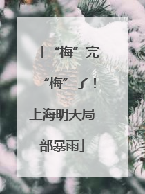 “梅”完“梅”了！上海明天局部暴雨