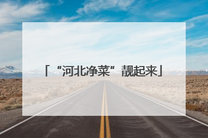 “河北净菜”靓起来