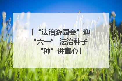 “法治游园会”迎“六一” 法治种子“种”进童心
