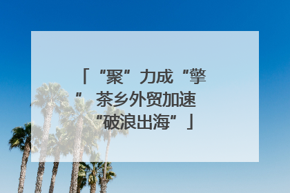 “聚”力成“擎” 茶乡外贸加速“破浪出海”