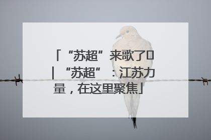 “苏超”来歌了⑪｜“苏超”：江苏力量，在这里聚焦