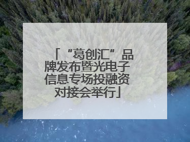 “葛创汇”品牌发布暨光电子信息专场投融资对接会举行