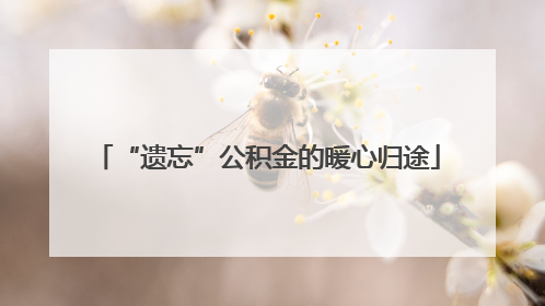 “遗忘”公积金的暖心归途