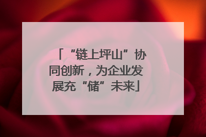 “链上坪山”协同创新，为企业发展充“储”未来