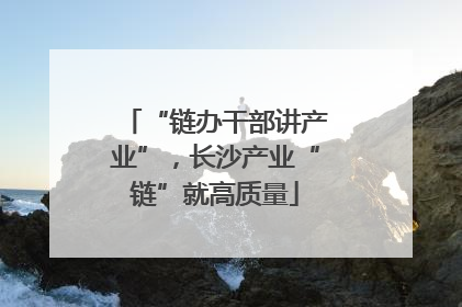 “链办干部讲产业”，长沙产业“链”就高质量