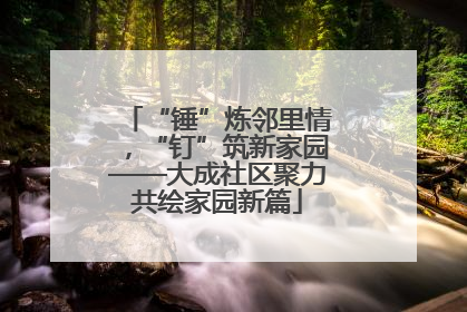 “锤”炼邻里情，“钉”筑新家园——大成社区聚力共绘家园新篇