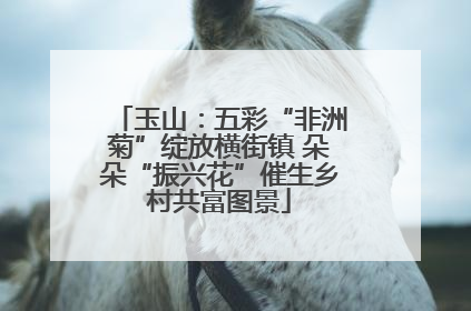 玉山：五彩“非洲菊”绽放横街镇 朵朵“振兴花”催生乡村共富图景