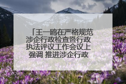 王一鸥在严格规范涉企行政检查暨行政执法评议工作会议上强调 推进涉企行政检查质效大幅提升
