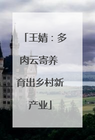 王婧：多肉云寄养 育出乡村新产业