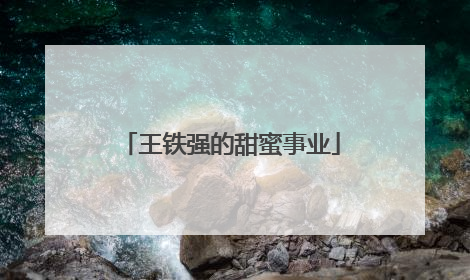 王铁强的甜蜜事业