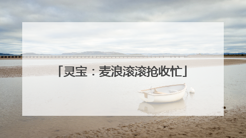 灵宝：麦浪滚滚抢收忙