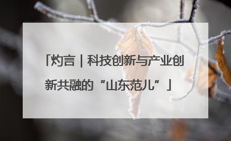 灼言｜科技创新与产业创新共融的“山东范儿”