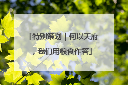 特别策划｜何以天府，我们用粮食作答