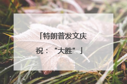 特朗普发文庆祝：“大胜”