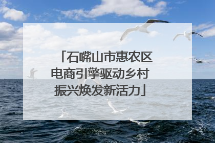 石嘴山市惠农区电商引擎驱动乡村振兴焕发新活力