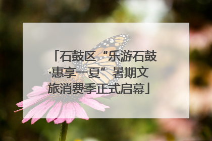 石鼓区“乐游石鼓·惠享一夏”暑期文旅消费季正式启幕