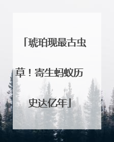 琥珀现最古虫草！寄生蚂蚁历史达亿年