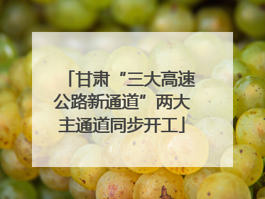 甘肃“三大高速公路新通道”两大主通道同步开工