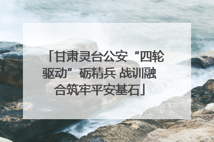 甘肃灵台公安“四轮驱动”砺精兵 战训融合筑牢平安基石